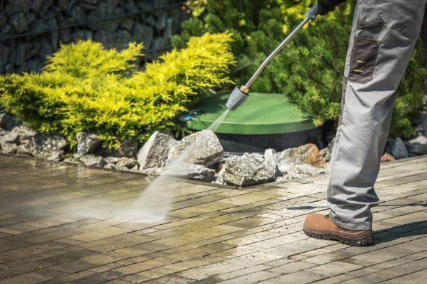 Best Solar Panel Cleaning  in San Antonio, FL
