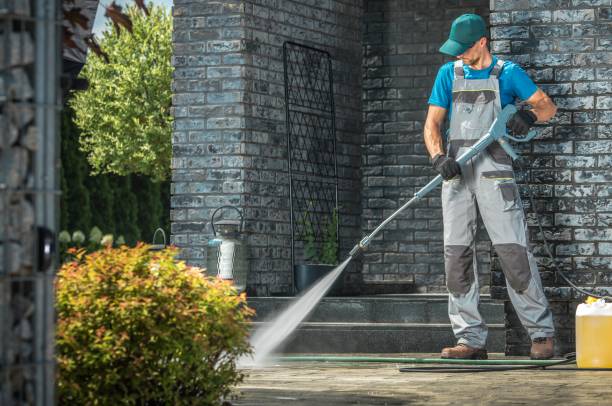 Best Spring Cleaning  in San Antonio, FL