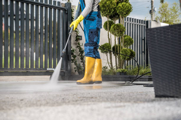 Best Roof Washing  in San Antonio, FL